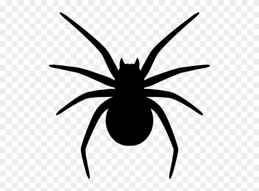 Wallpaper #71bf1 Pin by Kayleigh on Spider Drawings in 2024 Spiderman Drawing