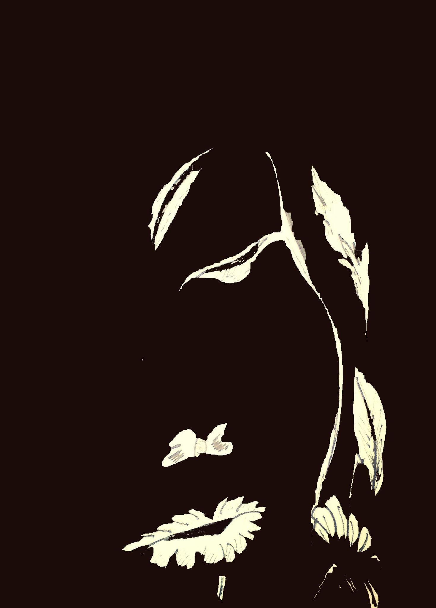 Wallpaper #NhmcBY8BtGB6xQ78wVJN7 30 Black and White Drawings Sketches Harunmudak