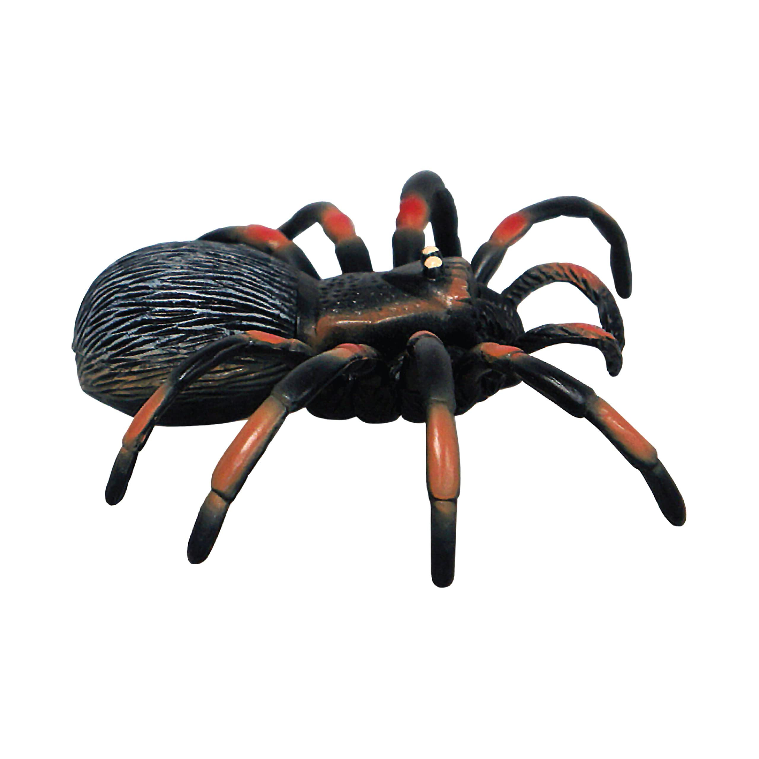 Wallpaper #1fQOOpMBKFX8bn3r-3cr73 Buy Mini Animal Adventure Replica Tarantula from Deluxebase Small