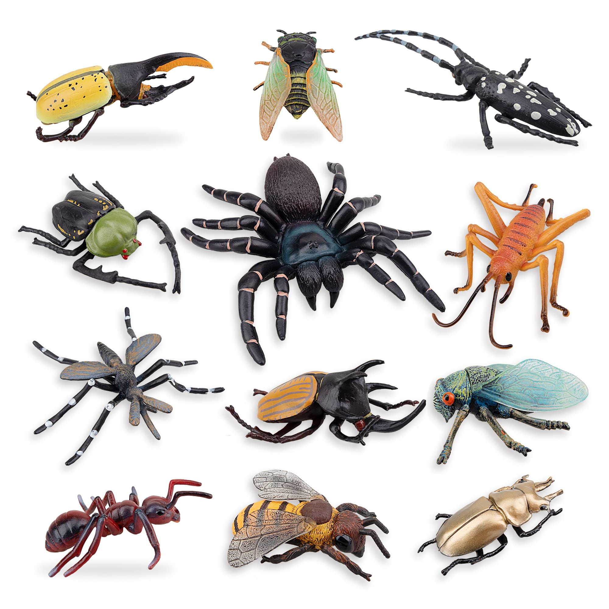 Wallpaper #1fQOOpMBKFX8bn3r-3cr42 Buy Toymany 12pcs Realistic Insects Figures Toys Plastic Bugs