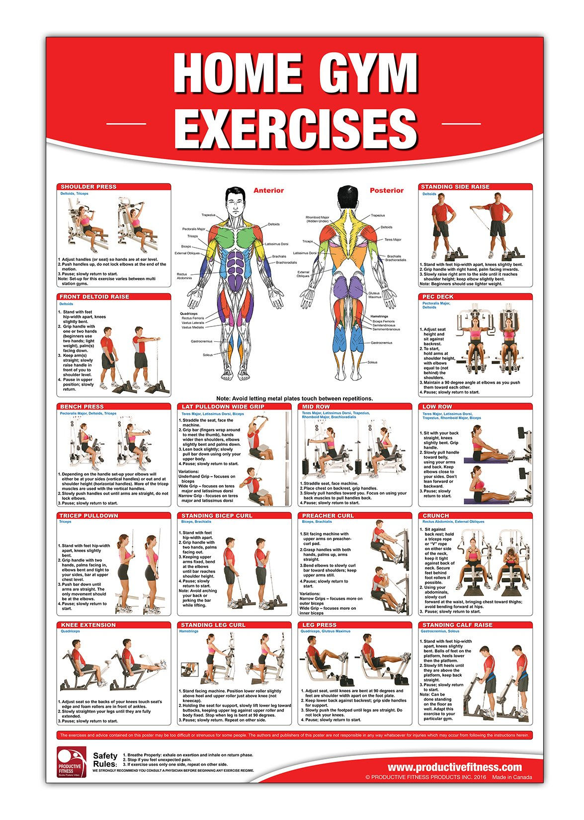 Wallpaper #FF7FB The Suspension Workout Chart Shows How to Do It and What You Can Do with It