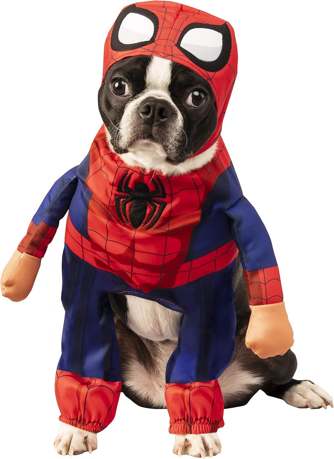 Wallpaper #12heGpMBSpphPi3-rRty289 Spider Man Costume for Dogs Ppgbbeintranetbiologiaufrjbr