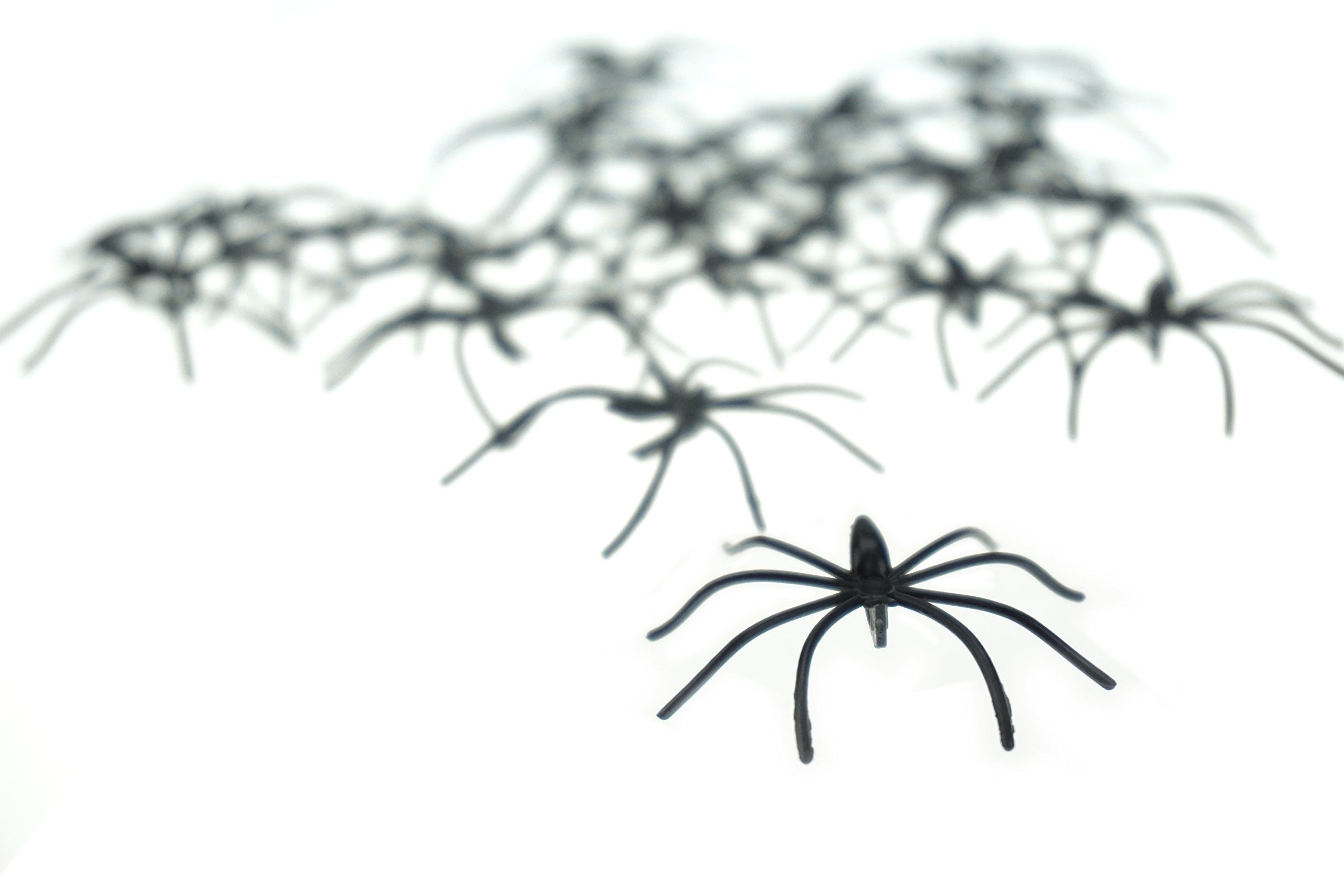 Wallpaper #HfQqOpMBKFX8bn3rhHgw127 Bilipala Scary Plastic Spiders Small Fake Spider Joke Toys for Prank