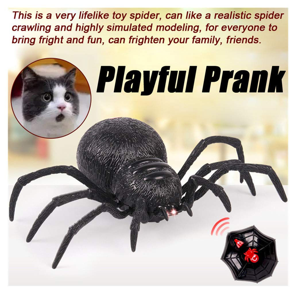 Wallpaper #CfQhOpMBKFX8bn3r83gp75 Buy Wenini Remote Control Spider Toy Y Wolf Spider Robot Realistic