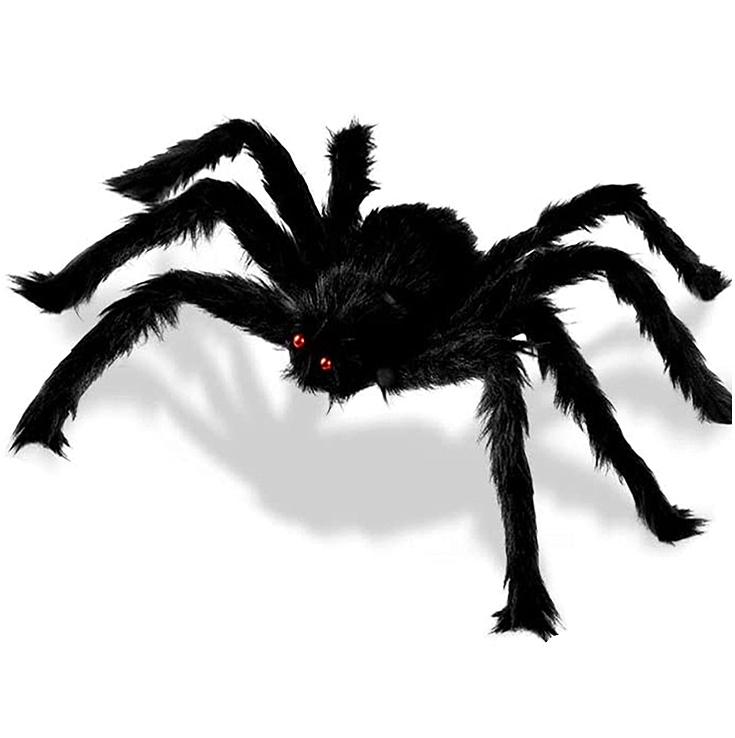Wallpaper #E1Zdd5cBsd6xcFiEX9pZ64 Scariest Looking Spider