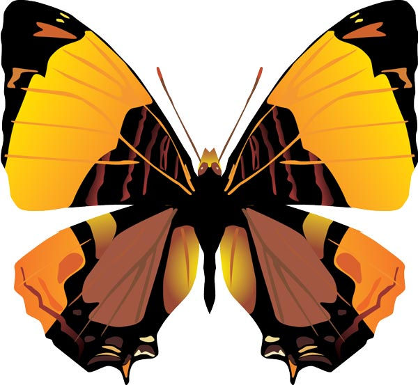 Wallpaper #eJyi4ZIBZHQxiYar67ym172 Realistic Butterflies Vectors