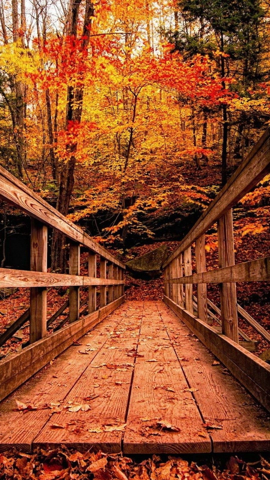 Wallpaper #OxlcOI8BtGB6xQ78CahK6 Autumn Wallpaper Whatspaper