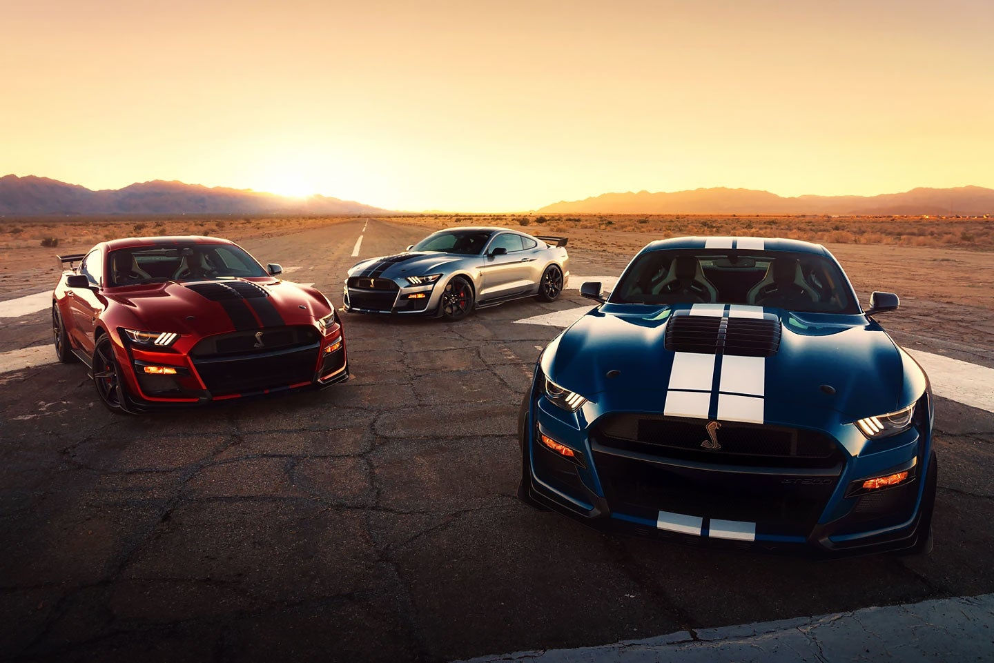 Wallpaper #o_RrOpMBKFX8bn3rHnjS179 Fit for the Track Shelby Mustang vs Roush Mustang