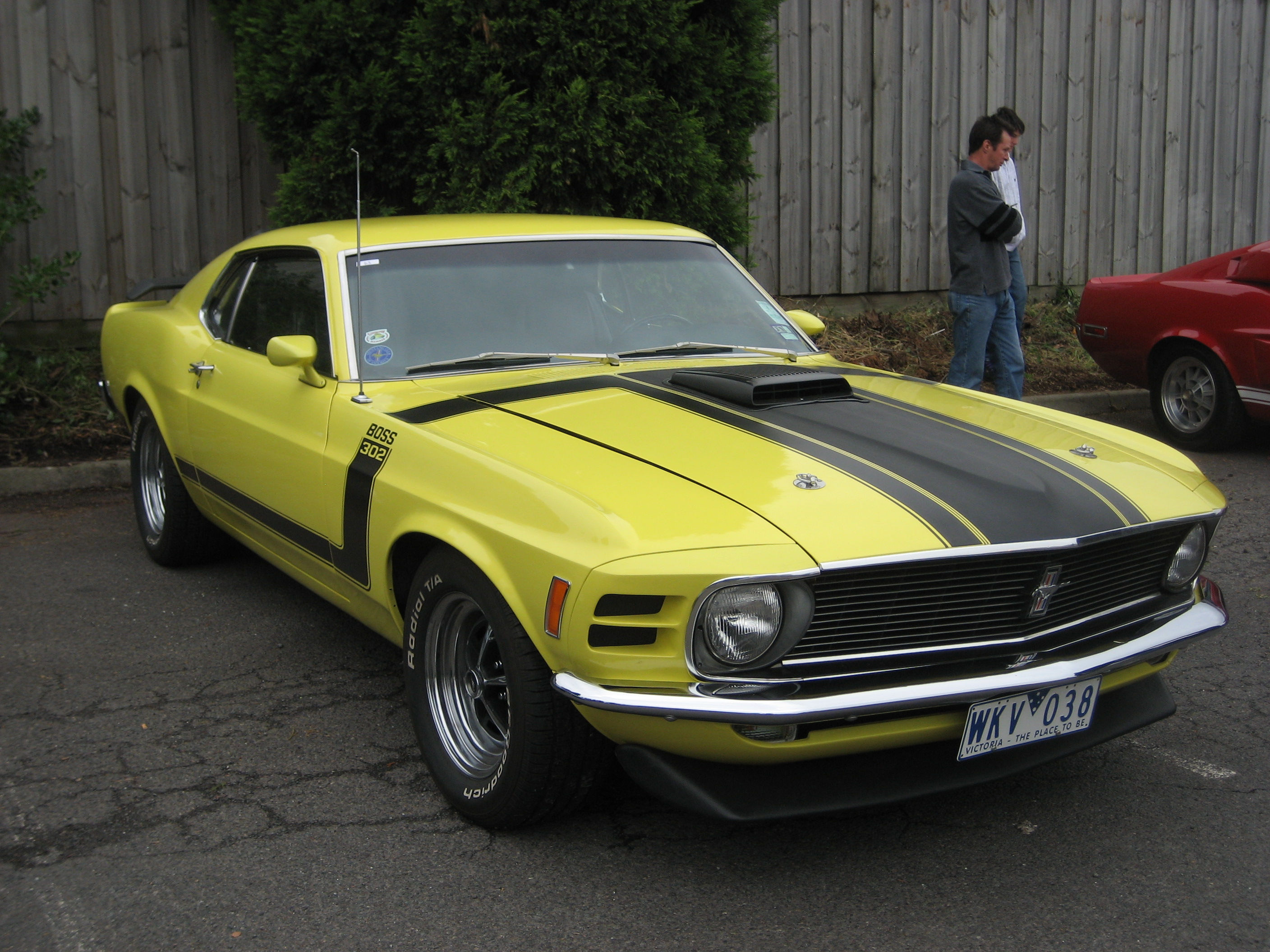 Wallpaper #5Gj0GJMBSpphPi3-pBTv308 Fileford Mustang Boss 302 1970jpg