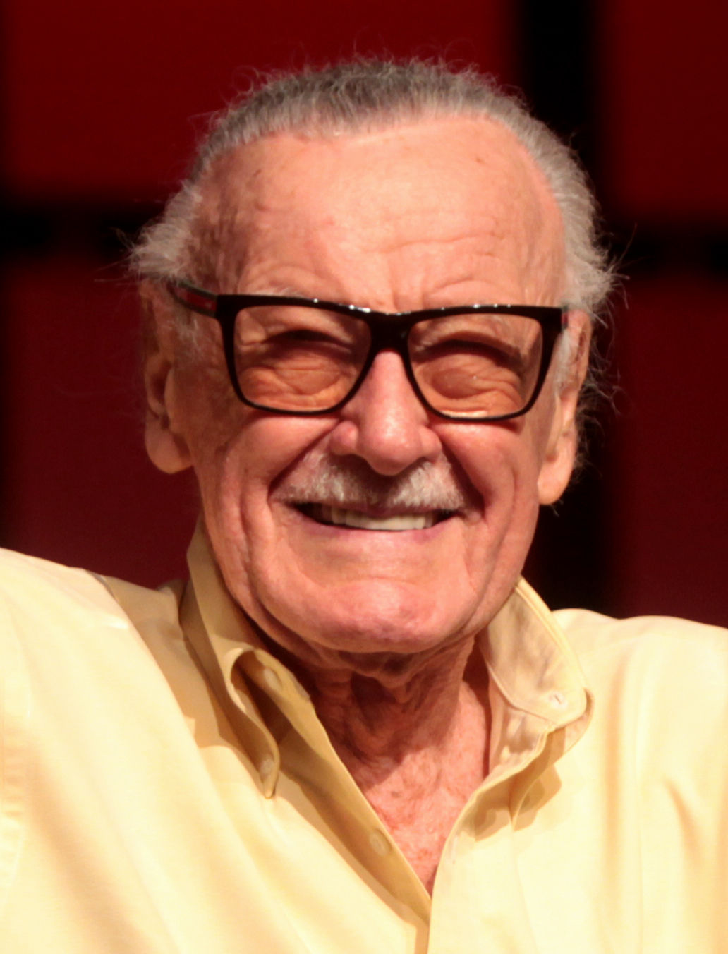 Wallpaper #l-p3VZMBlwTYPL181A1W337 Stan Lee Wikiwand