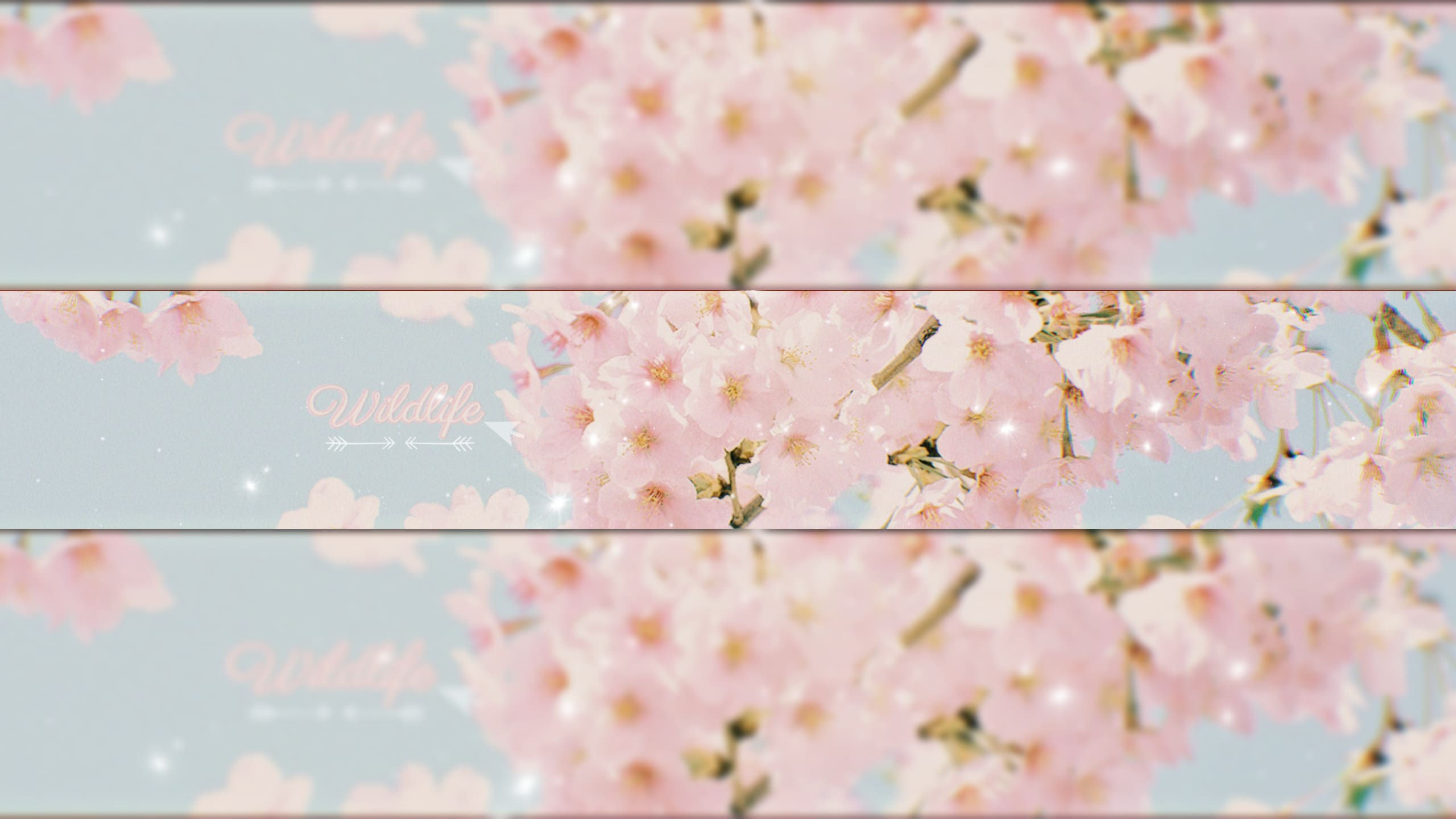 Wallpaper #Drjq2pIBJvJKYCmEPvSR357 Update More Than 85 Anime Aesthetic Banner Latest Incoedocomvn