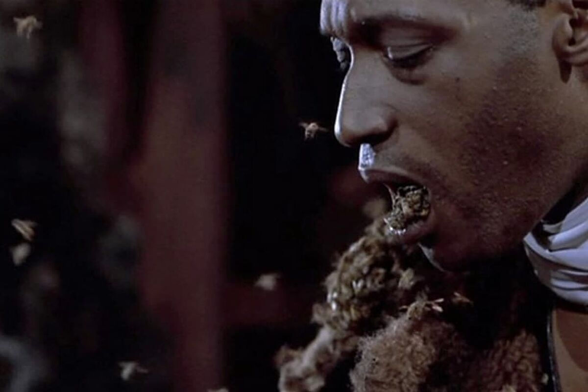 Wallpaper #VrgT1pIBJvJKYCmEUtx7375 The Bizarre Amount of Money Tony Todd Earned in Candyman for Every Bee