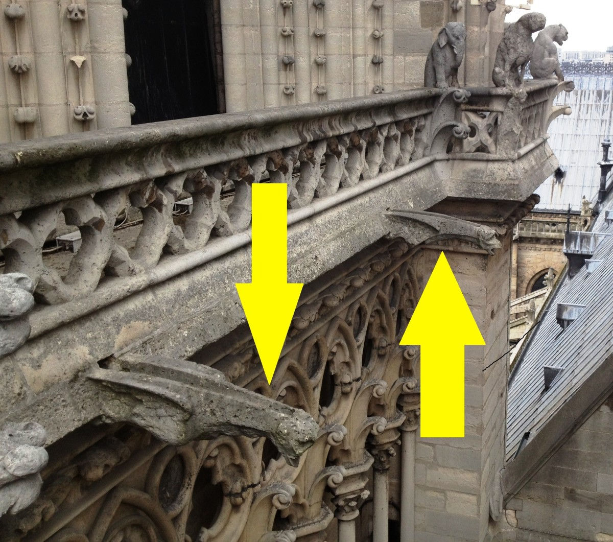 Wallpaper #s2eZ6JIBSpphPi3-Fj1x118 The Gargoyles of Notre Dame Cathedral in the Heart of Paris Wanderwisdom