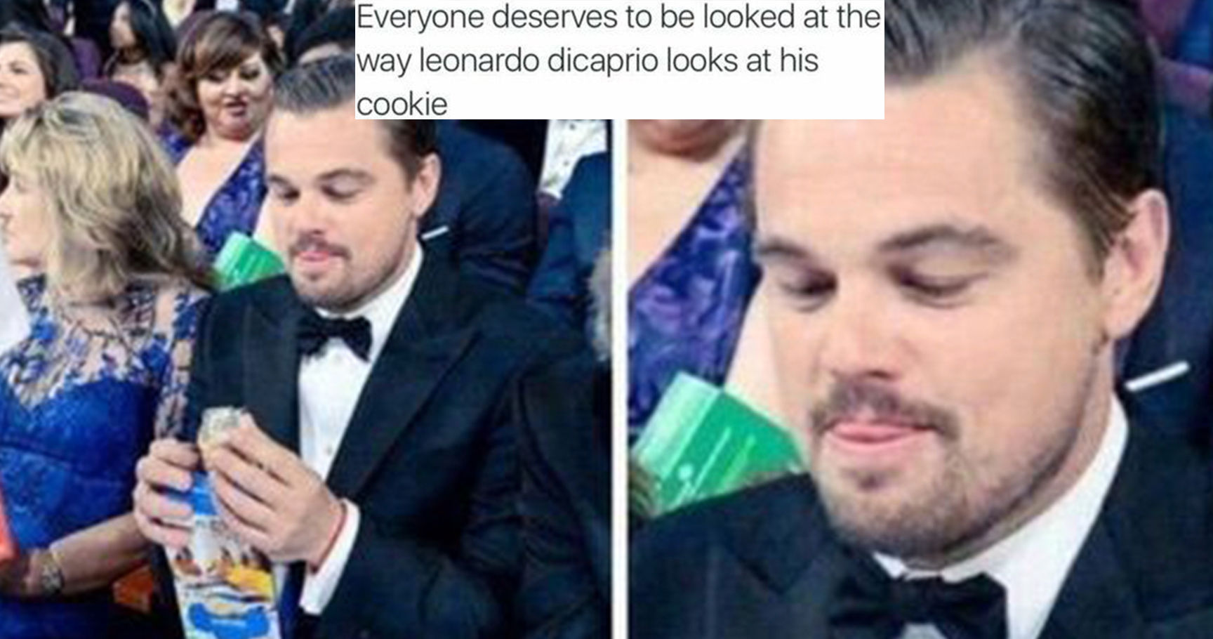 Wallpaper #GGcJ7ZIBSpphPi3-z1bZ100 Hysterical Leo Dicaprio Memes That Fill Us with Joy