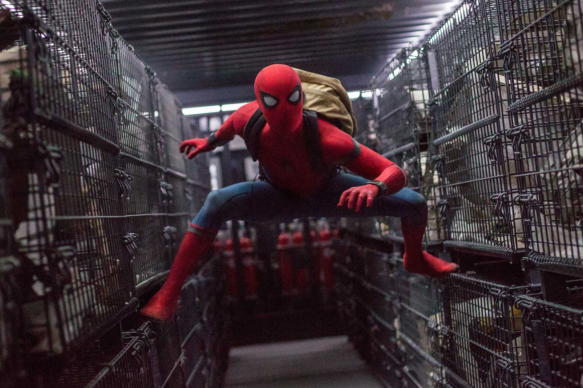Wallpaper #jAC7644BSdW8dNoumRIL25 Spider Man Homecoming Film Review the Funniest Reboot of the Web