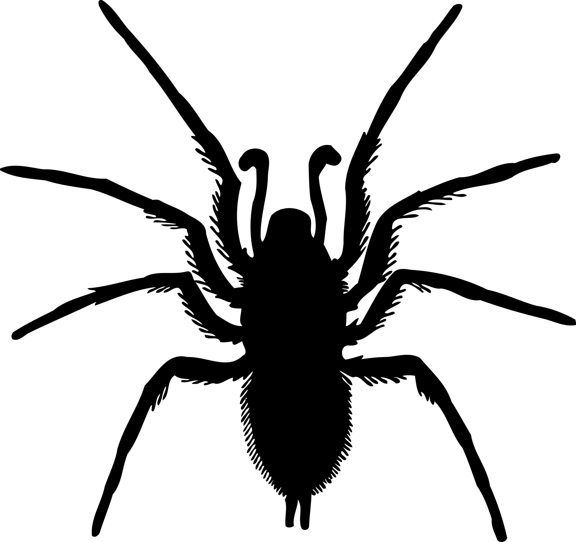 Wallpaper #aRnOEo8BtGB6xQ786WQF42 Spider Silhouette Vector File Image Free Stock Photo Public Domain