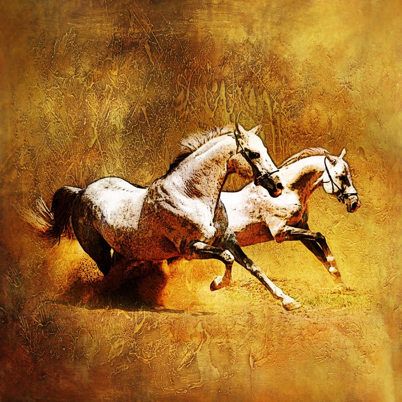 Wallpaper #MX1i8I4Bnwiau_P6ugZV14 Horse02 Handpainted Art Painting 24in X 24in by Fizdi