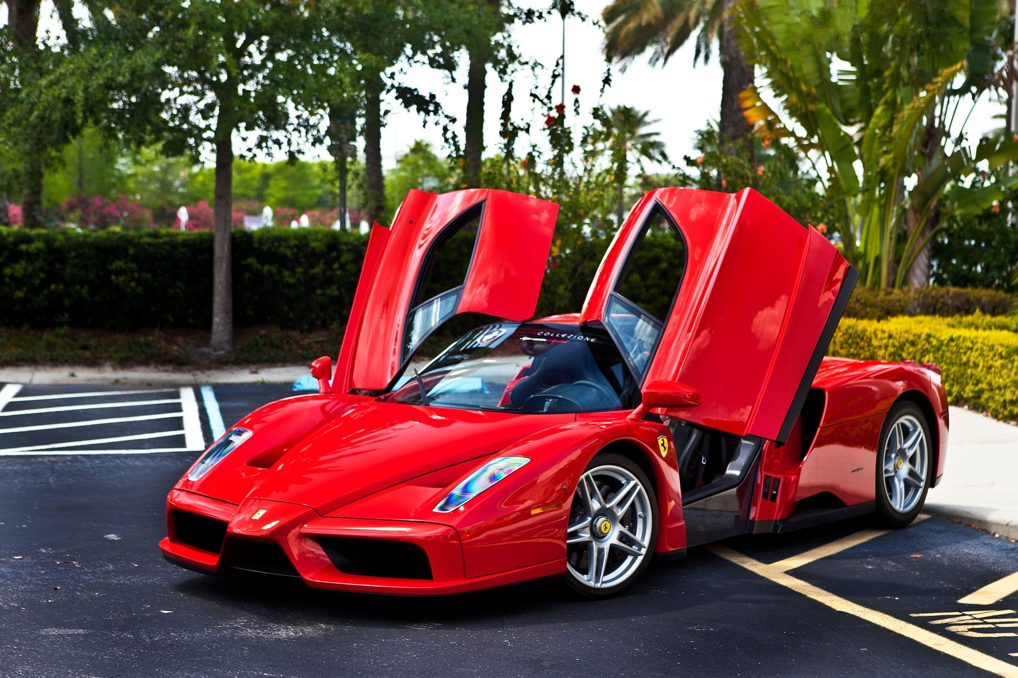 Wallpaper #JEUIr44B7YBJg1BVAaom33 Vehicles Ferrari Enzo HD Wallpaper
