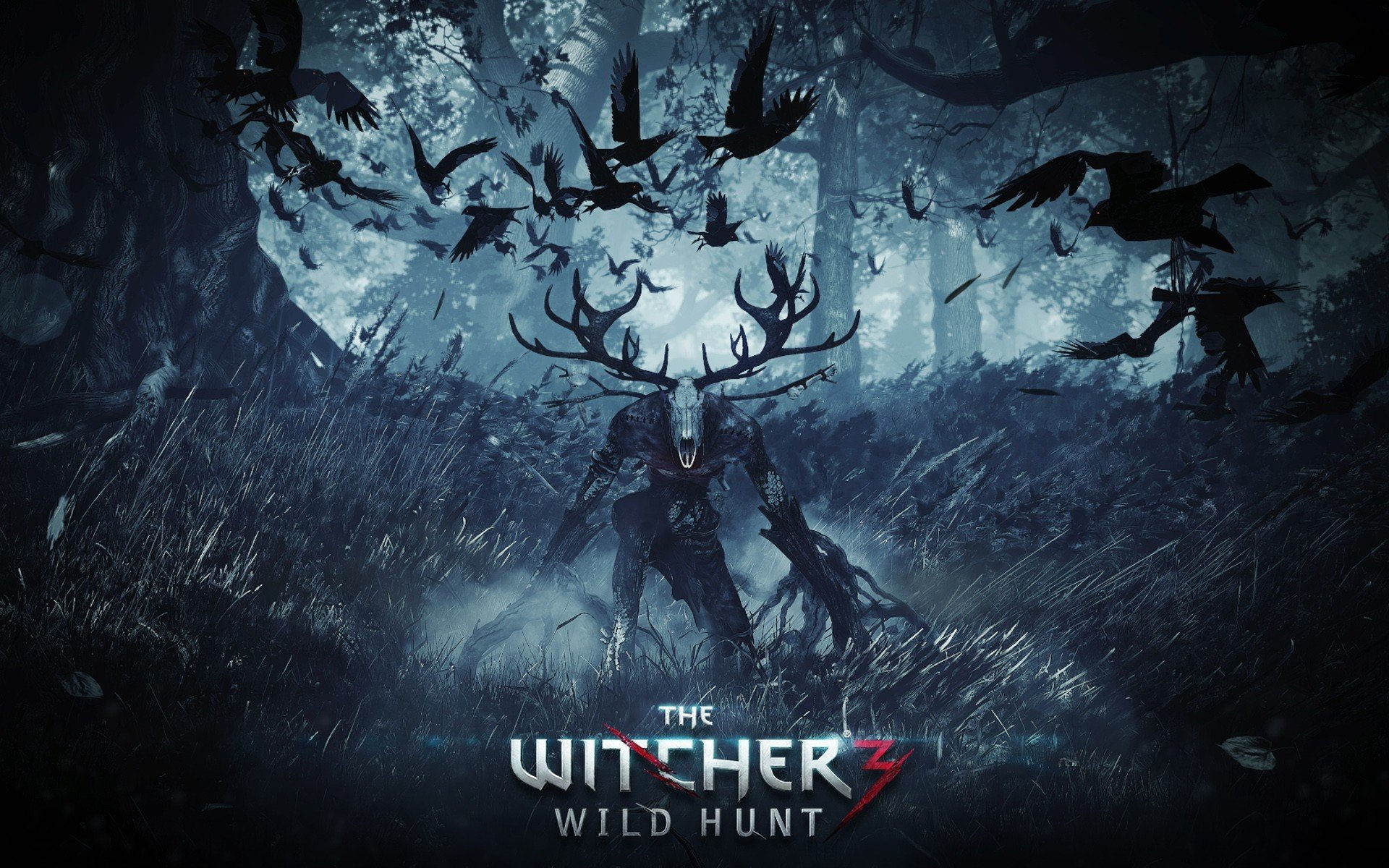 Wallpaper #RkDEMZMBJhL2WPbaNsiW392 Witcher 3 Dark Wild Hunt HD Wallpaper