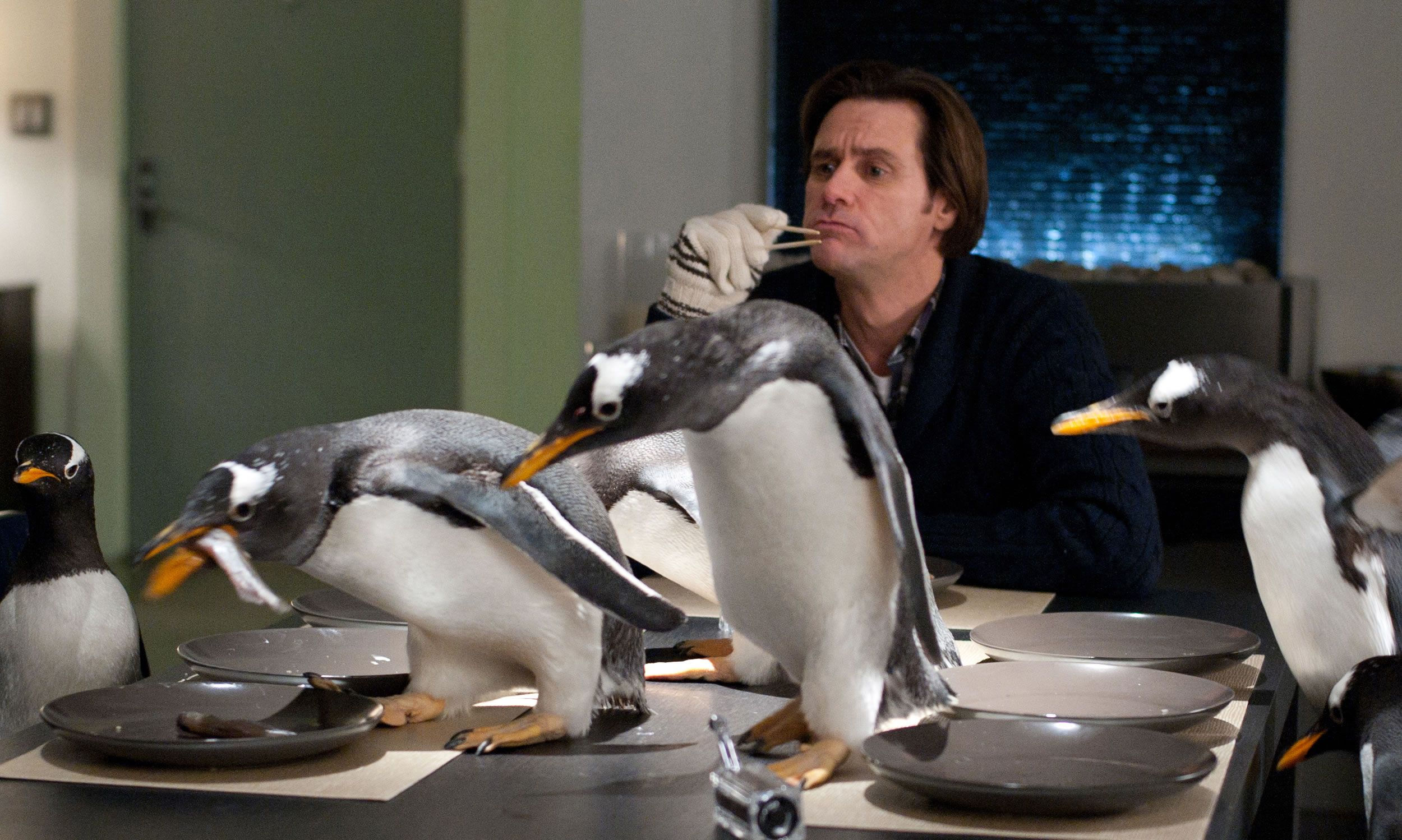 Wallpaper #KGgqIJMBSpphPi3-Hy2J183 Mr Poppers Penguins Review Collider