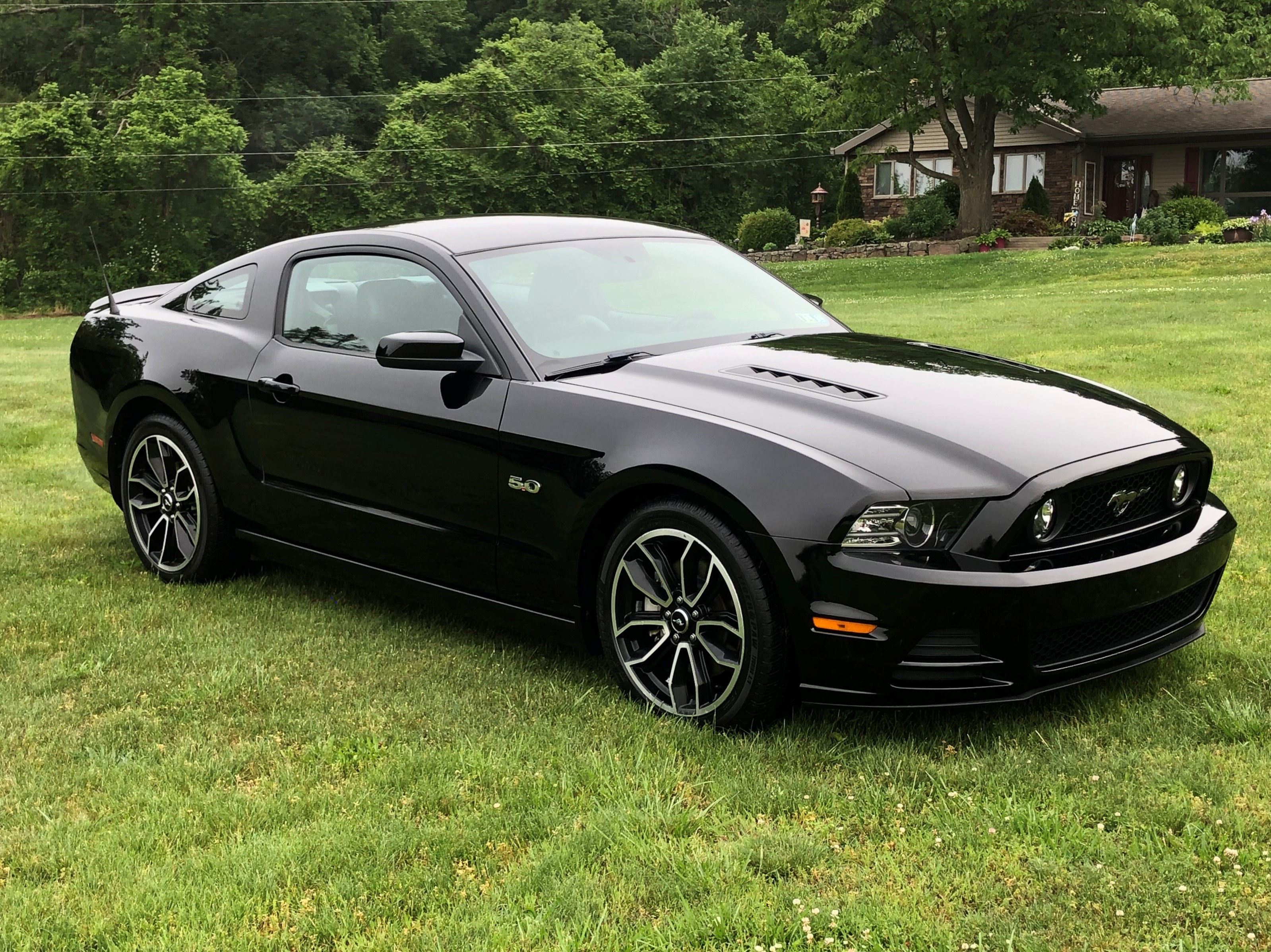 Wallpaper #yHSZv44B_8f4nGFanGxM9 2013 Black Ford Mustang GT Bill Foxs Auto Sales