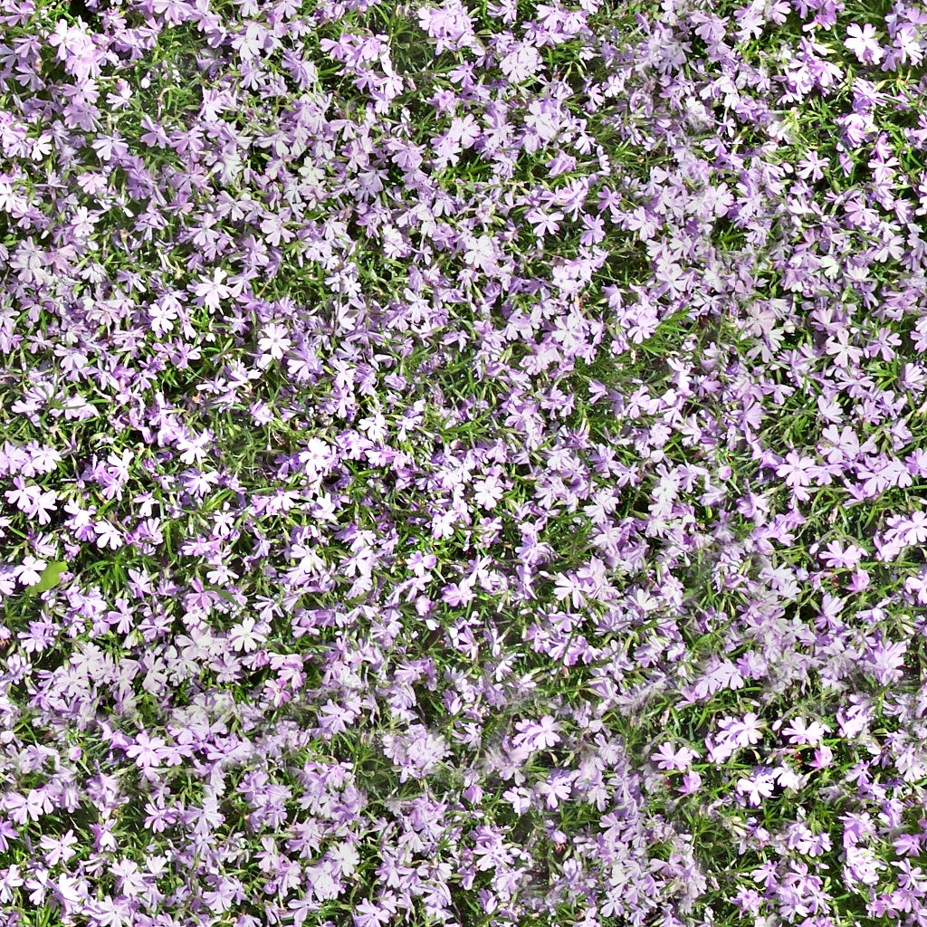 Wallpaper #rerdVpMBlwTYPL189RDU264 Seamless Filed Flowers Texture by Lendrick on Deviantart