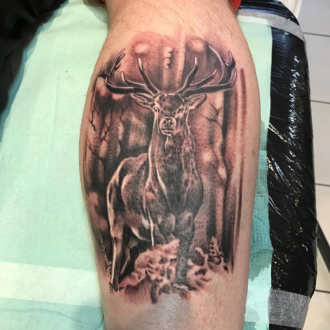 Wallpaper #a6073 14 Best Deer in Woods Tattoo Designs Petpress