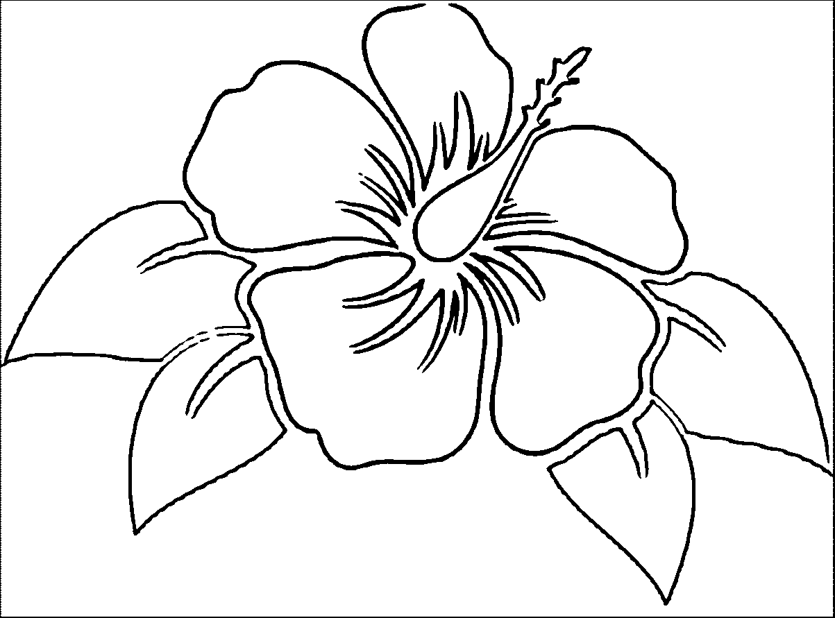 Wallpaper #8a759 Printable Downloadable Free Cricut Paper Flower Template