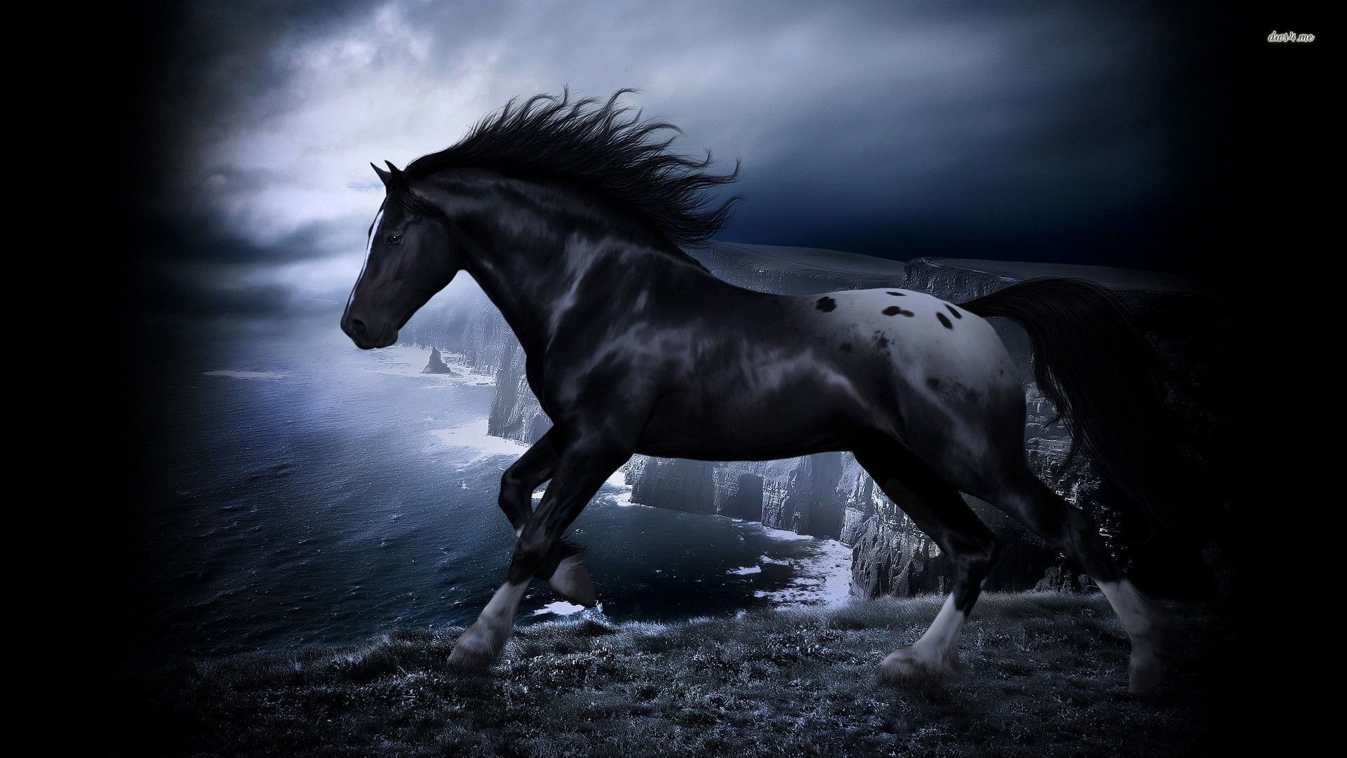 Wallpaper #LH1h8I4Bnwiau_P6ewav53 Black Horse Art Wallpaper 1920x1080 11862