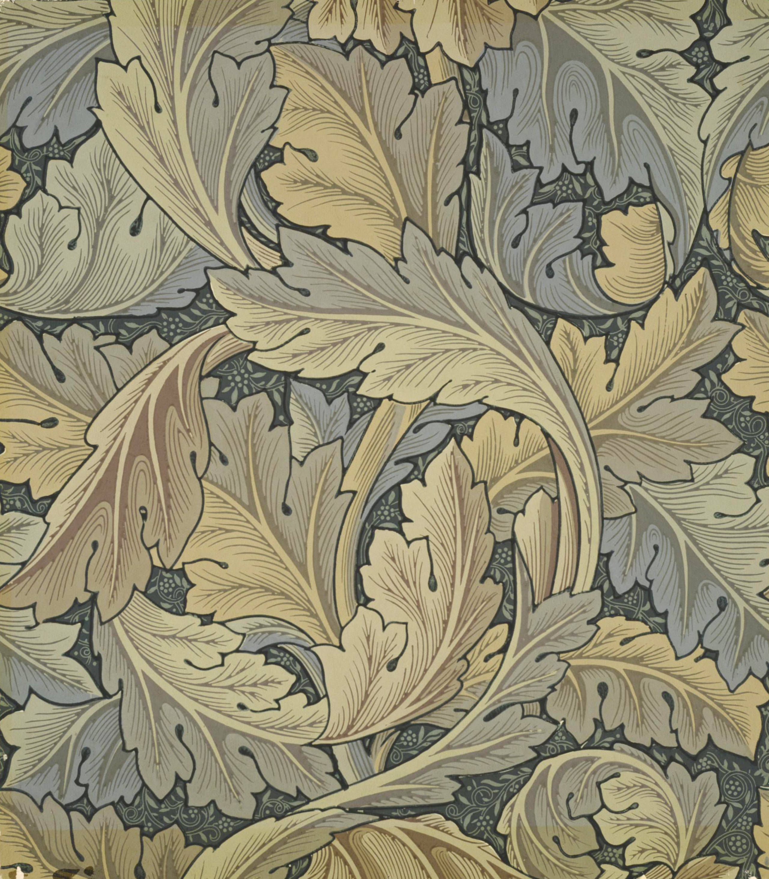 Wallpaper #LXf-KJMB-pgBXx60Uqym140 William Morris and Wallpaper Design Va