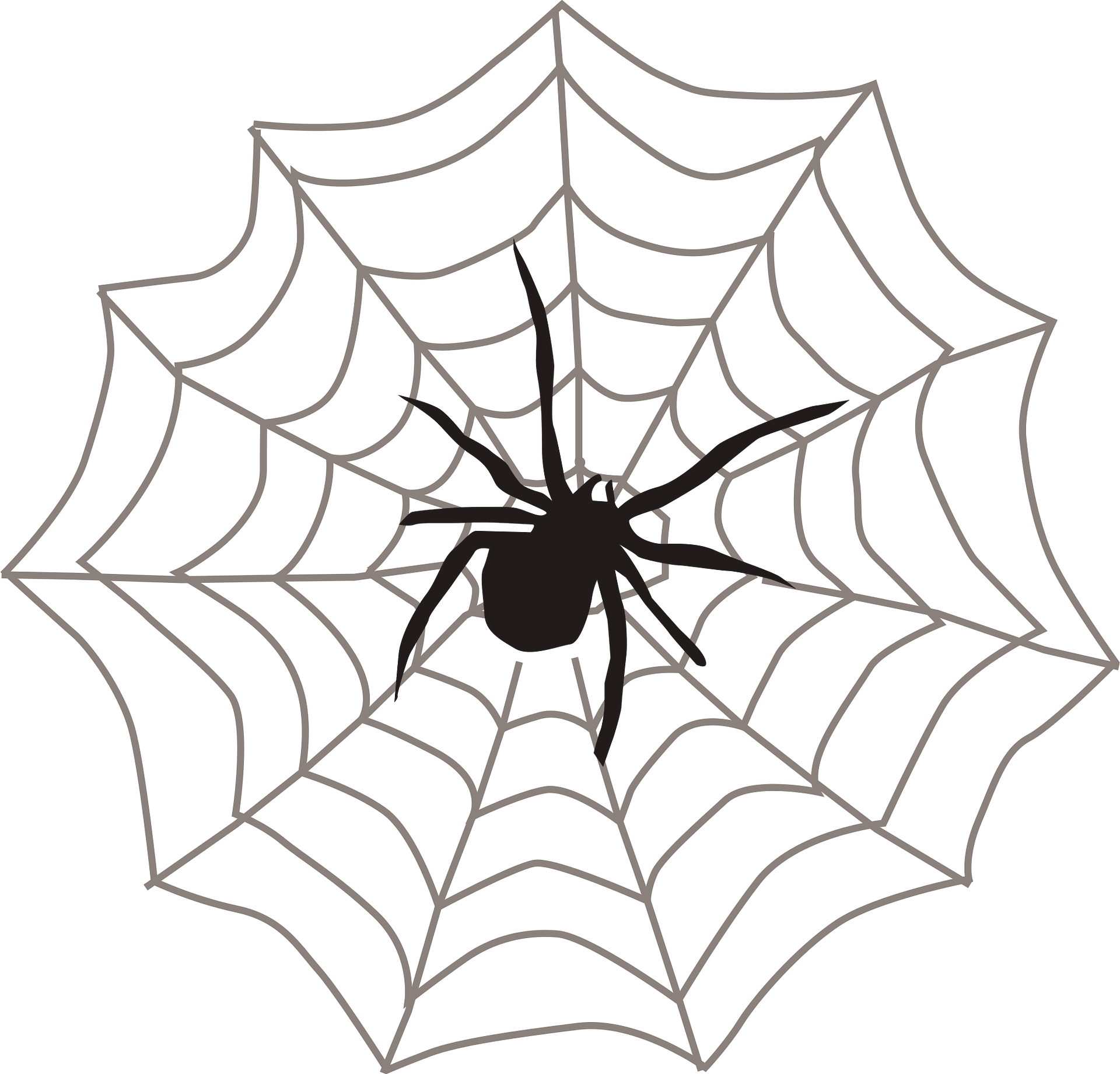 Wallpaper #k_RZOpMBKFX8bn3rE3j0336 Spider Web Clipart