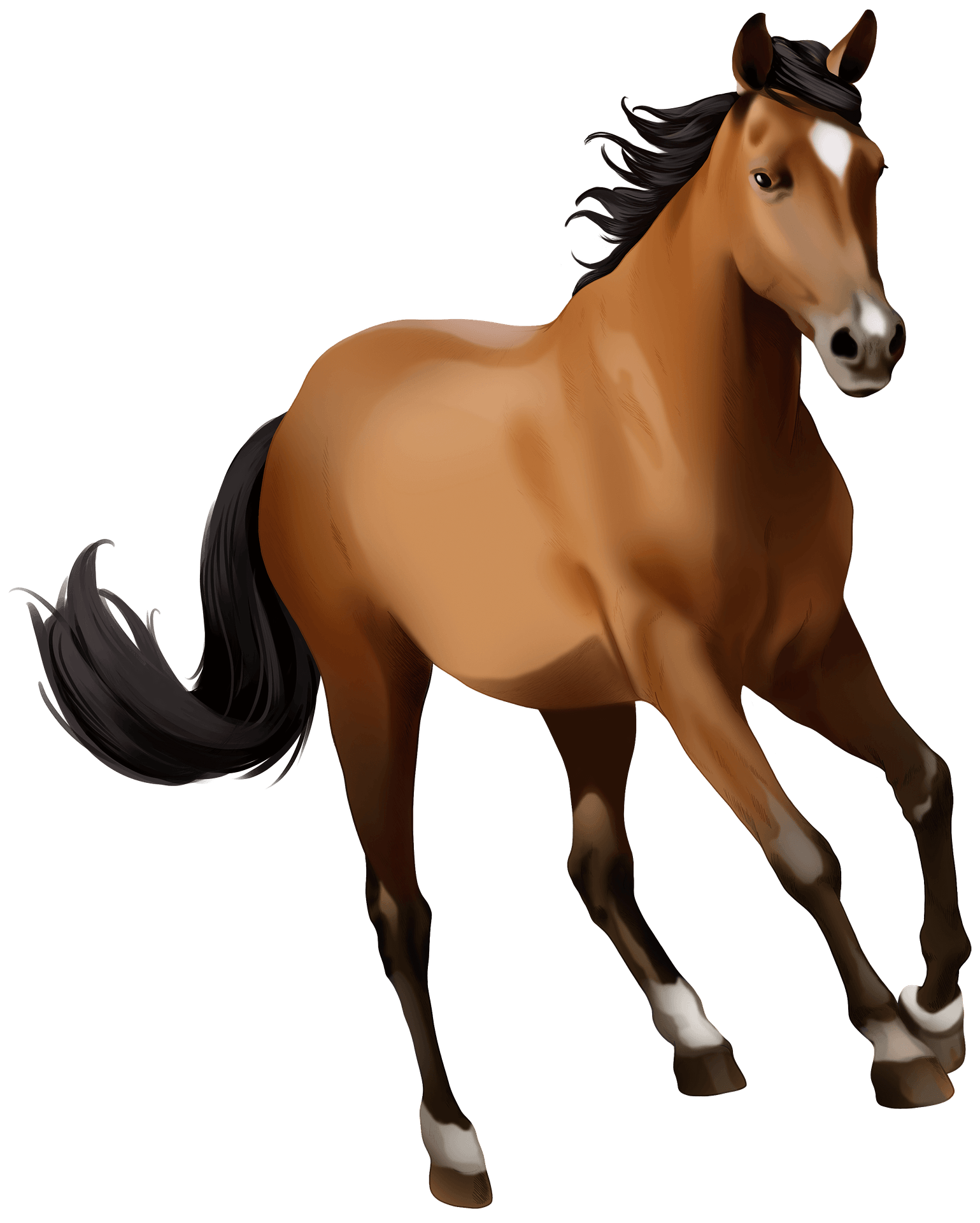 Wallpaper #8GdFAZMBSpphPi3-Nanh35 Clipart Horses Mustangs