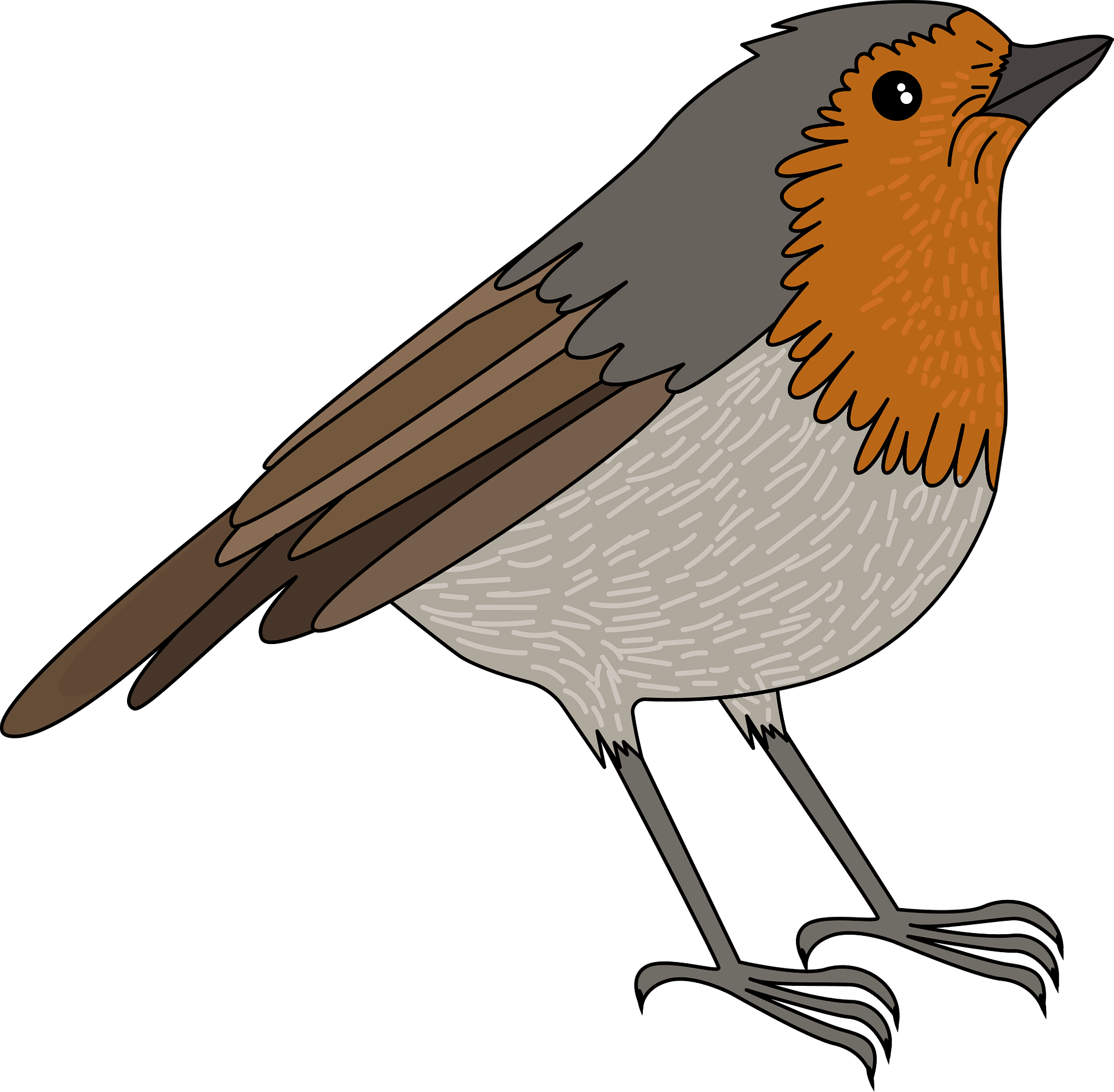Wallpaper #afTDOpMBKFX8bn3rxXlk196 Rally Robin Clipart Free