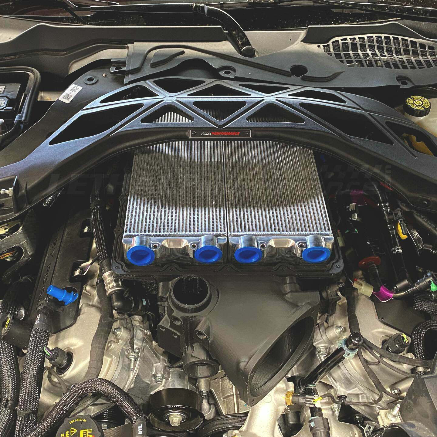 Wallpaper #2uqcVJMBlwTYPL18FgsO257 Whipple Superchargers 38l for the Coyote Gt500 Got Girth