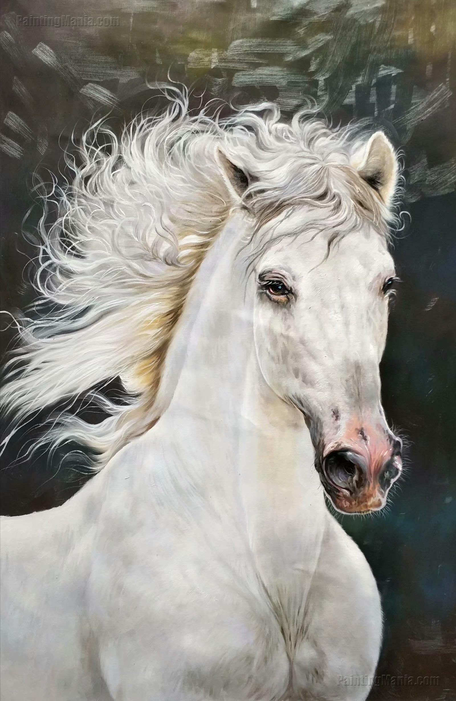 Wallpaper #8h2ULJMBlOZrFDOkIMqE184 Beautiful White Real Images Beautiful White Real Horse Pictures
