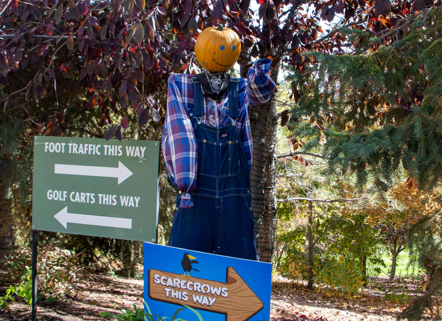 Wallpaper #1neqJpMB-pgBXx6036I4338 The History of Scarecrows Thanksgiving Point