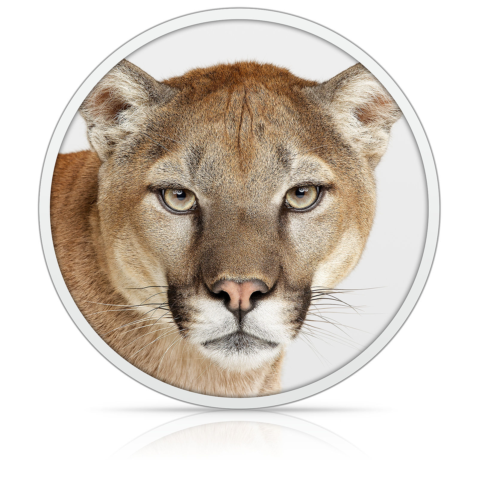 Wallpaper #Sz-jO5MBLiIJ4c9Oy4-H9 Mac Os X Mountain Lion Installer Apple Inc Free Download Borrow