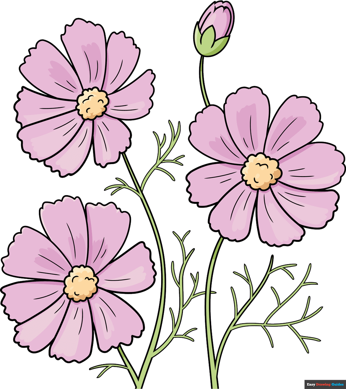 Wallpaper #6qlRh5cBxbDgA0Rlce3190 How to Draw a Pink Flower Step by Step Infoupdateorg