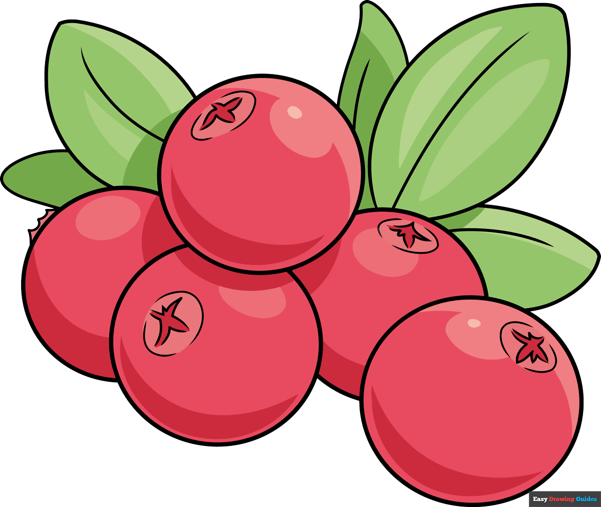 Wallpaper #3DD19 Cranberries Juice Vector 167451 Vector Art at Vecteezy