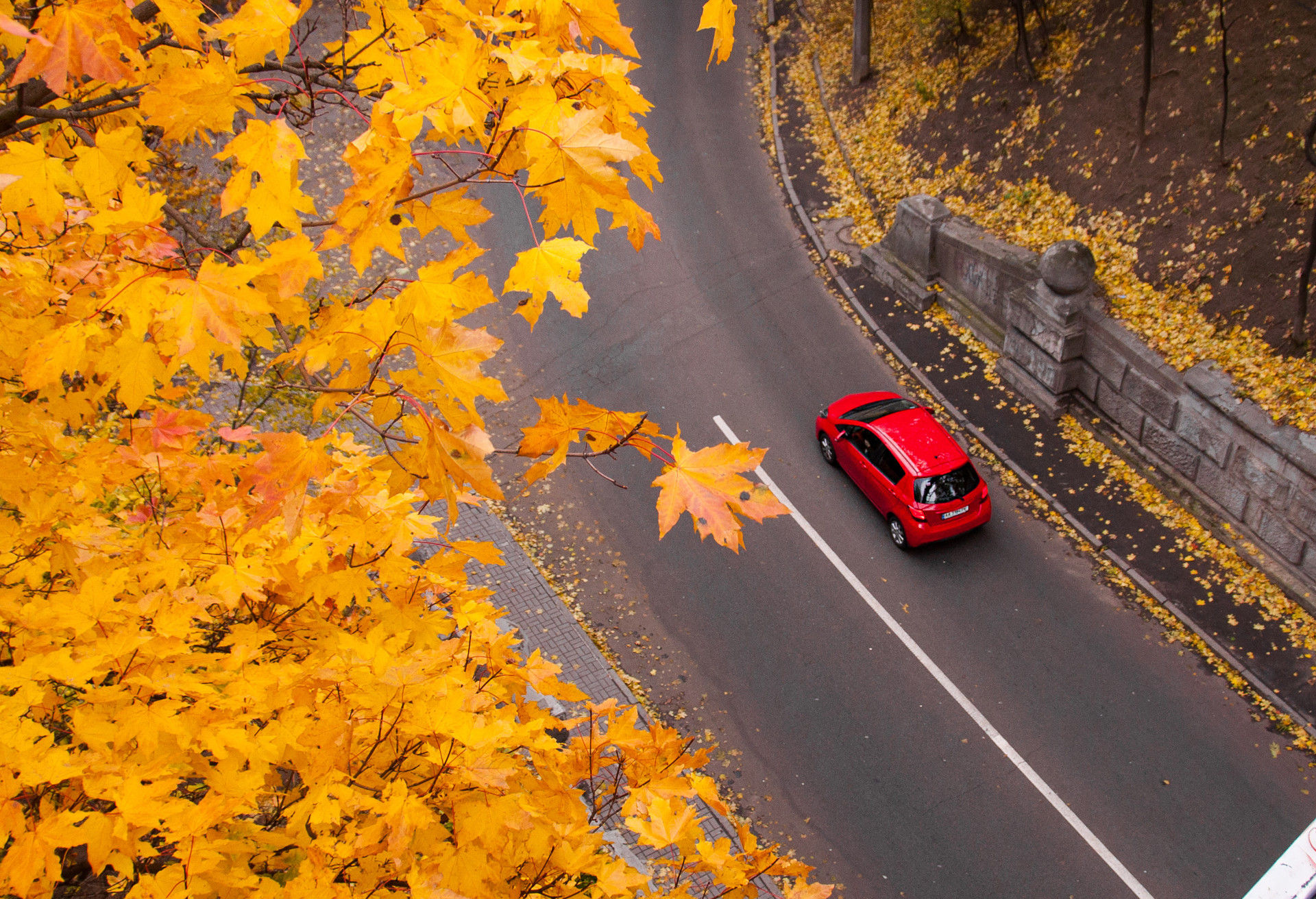 Wallpaper #rWgUHJMBSpphPi3-8SFd28 Tips for Planning a Fall Foliage Road Trip Kayak
