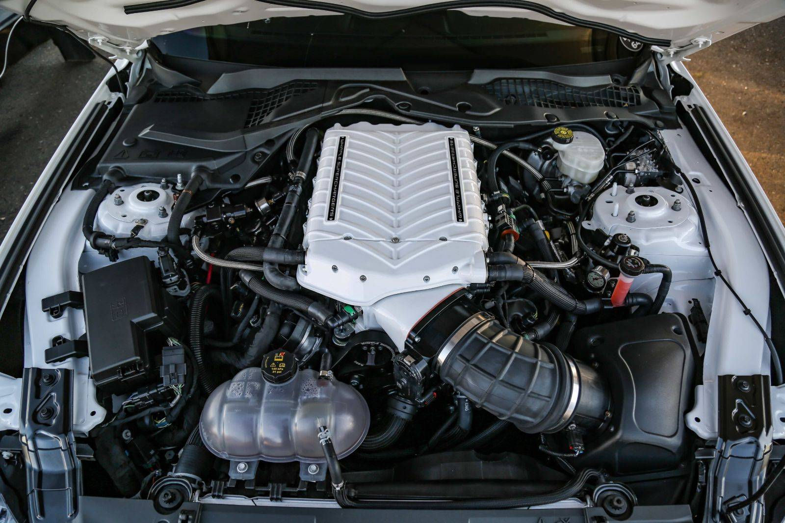 Wallpaper #2uqcVJMBlwTYPL18FgsO23 Whipple Ford Mustang GT 2018 2022 Gen Supercharger 48 Off