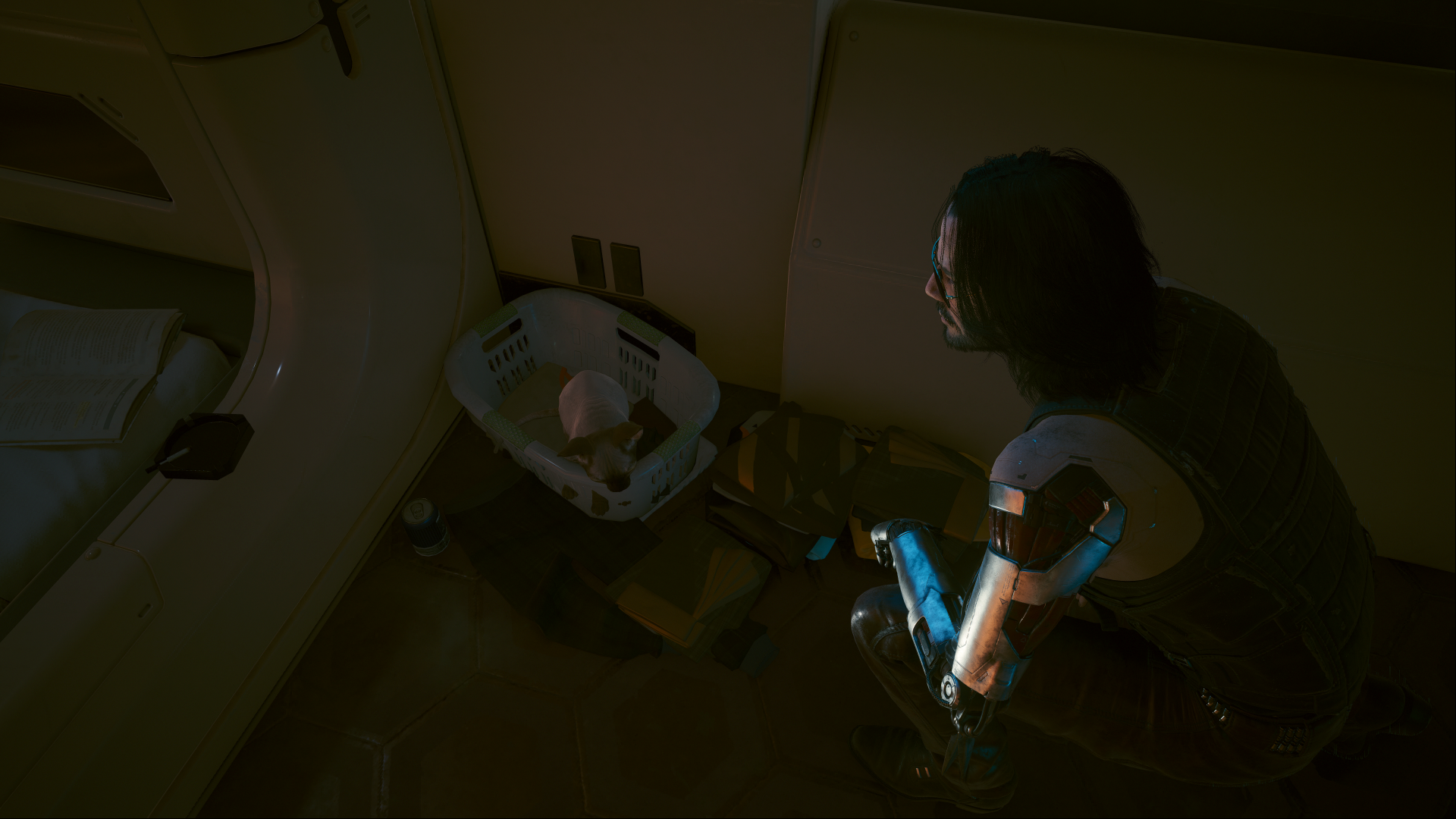 Wallpaper #2W0WaJcBycdYOYFTPW9J6 How to Get Nibbles the Cat in Cyberpunk 2077