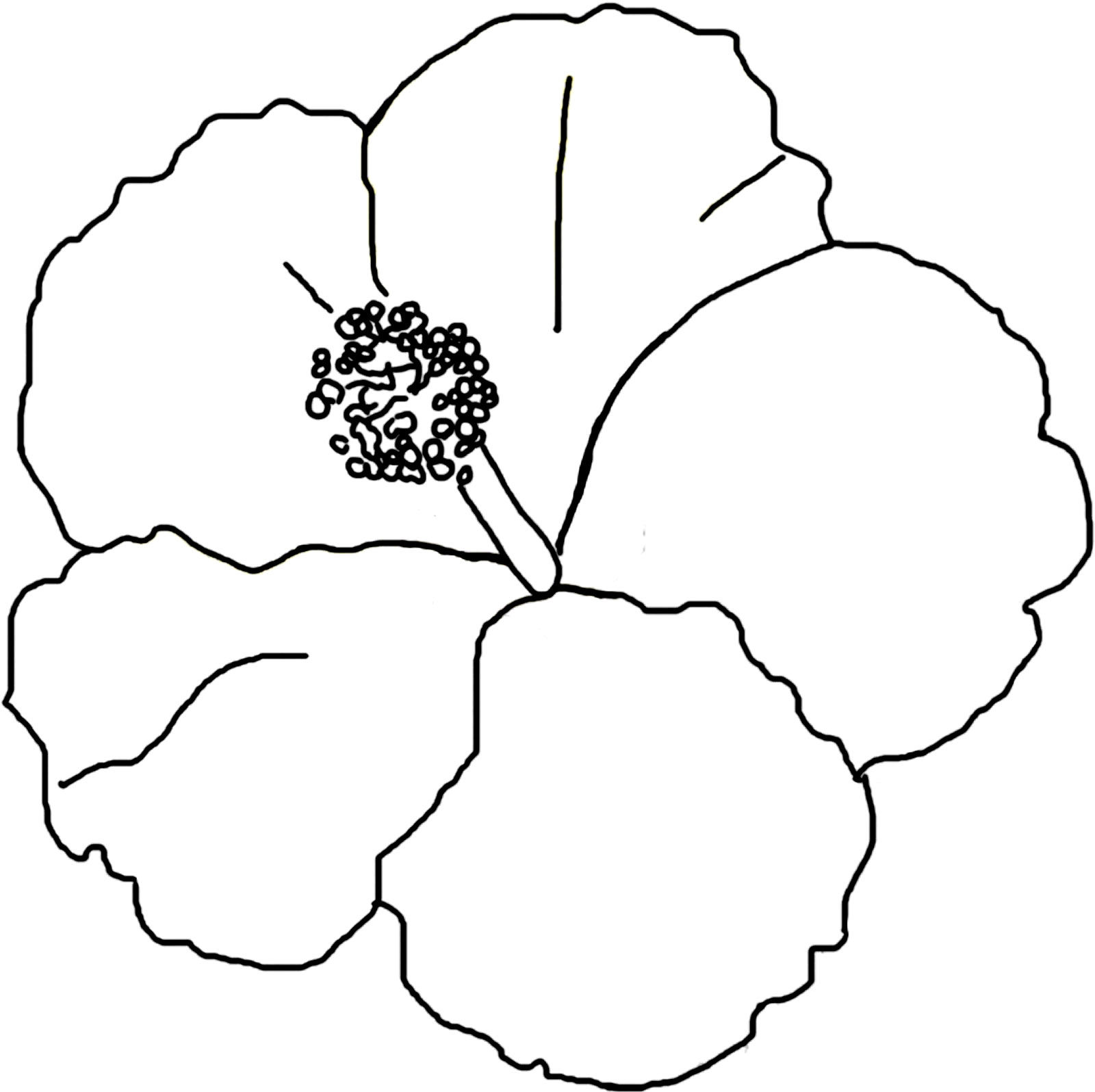 Wallpaper #8a759 Printable Downloadable Free Cricut Paper Flower Template