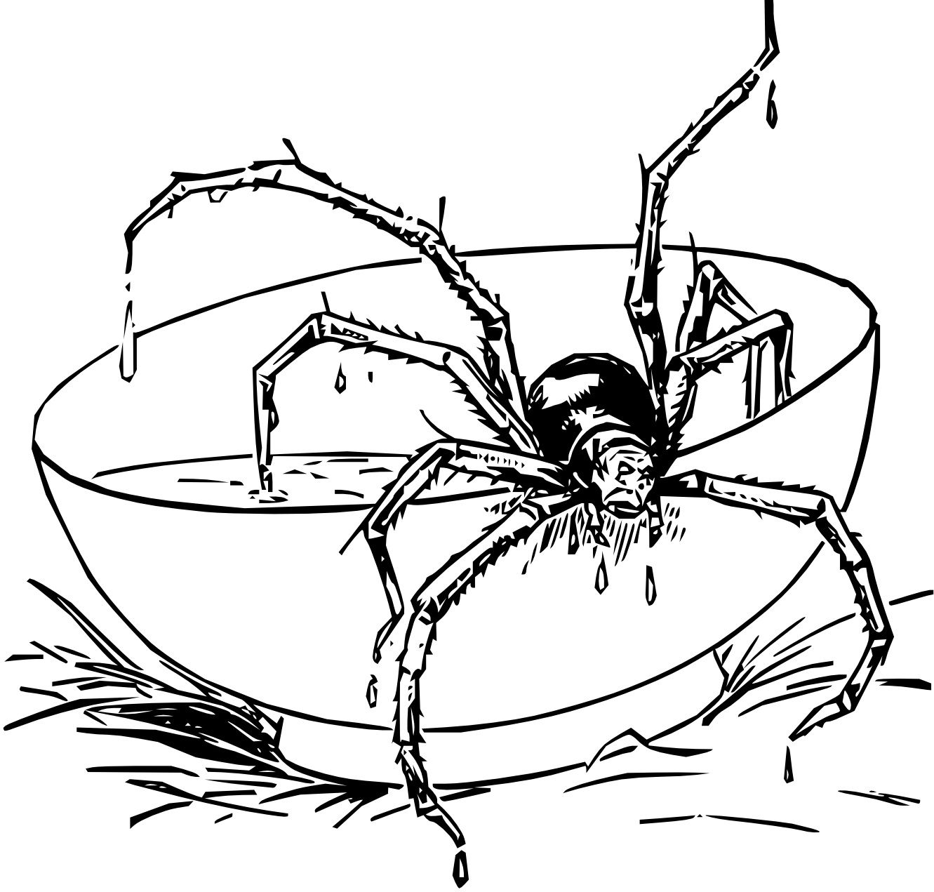 Wallpaper #Gmd6CZMBSpphPi3-WNCd10 Spider Coloring Pages Printable