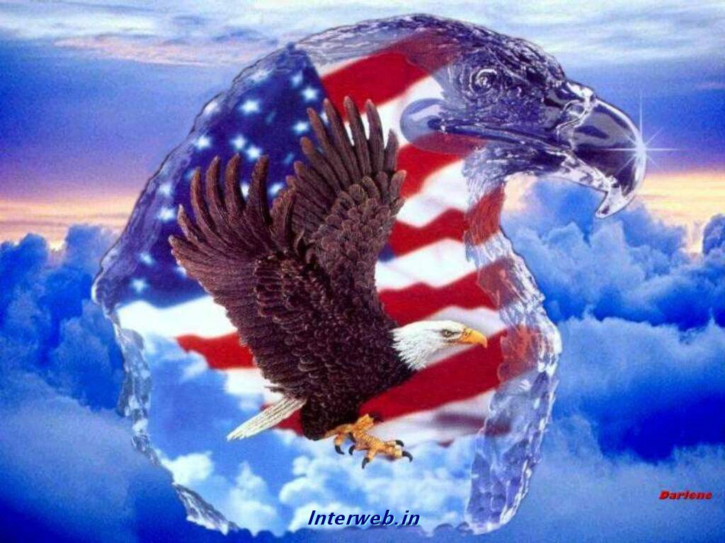 Wallpaper #6ef95 11209 Gier Eagle Images Stock Photos Vectors Shutterstock