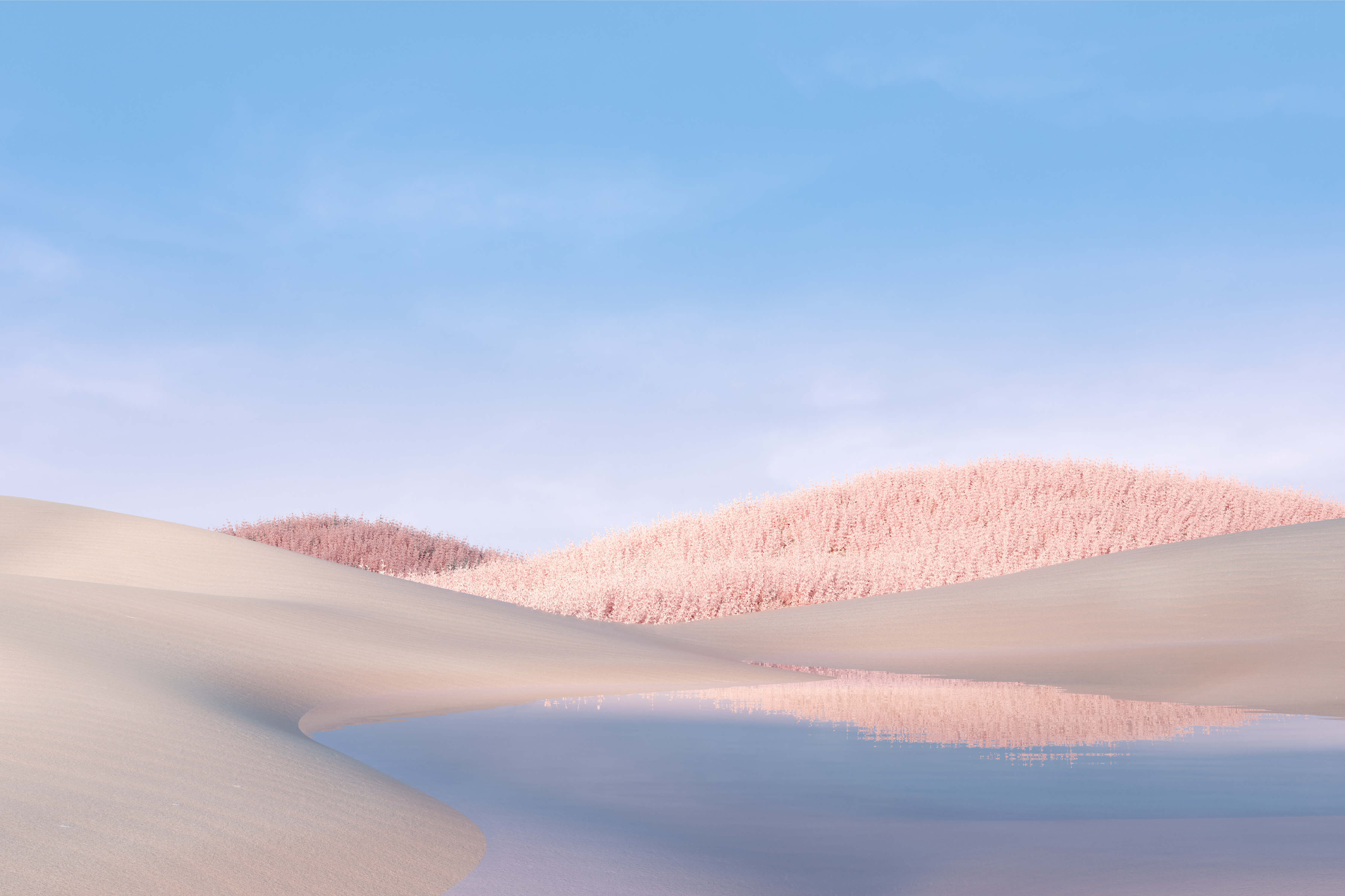 Wallpaper #1W0Na5cBycdYOYFTfHFU134 Surface Laptop Go Platinum by Microsoft Wallpapers Wallpaperhub