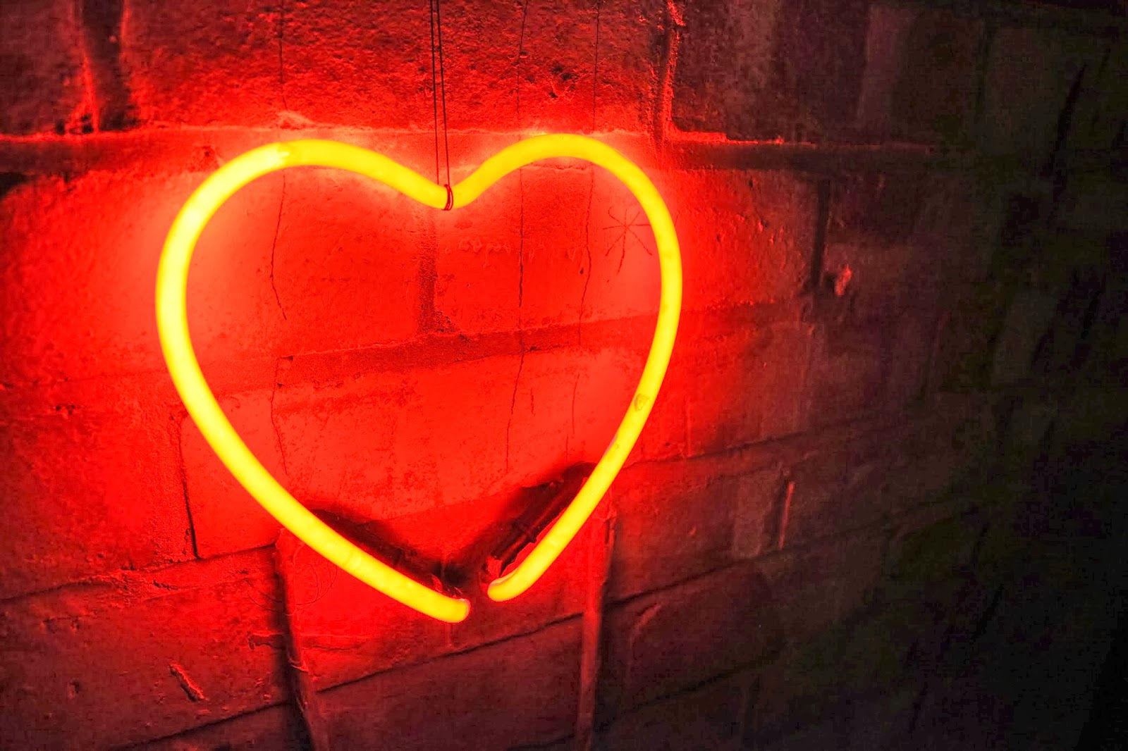 Wallpaper #t30P9I4Bnwiau_P6pg7_22 Free Download Neon Heart 13315 1600x1066px 1600x1066 for Your Desktop