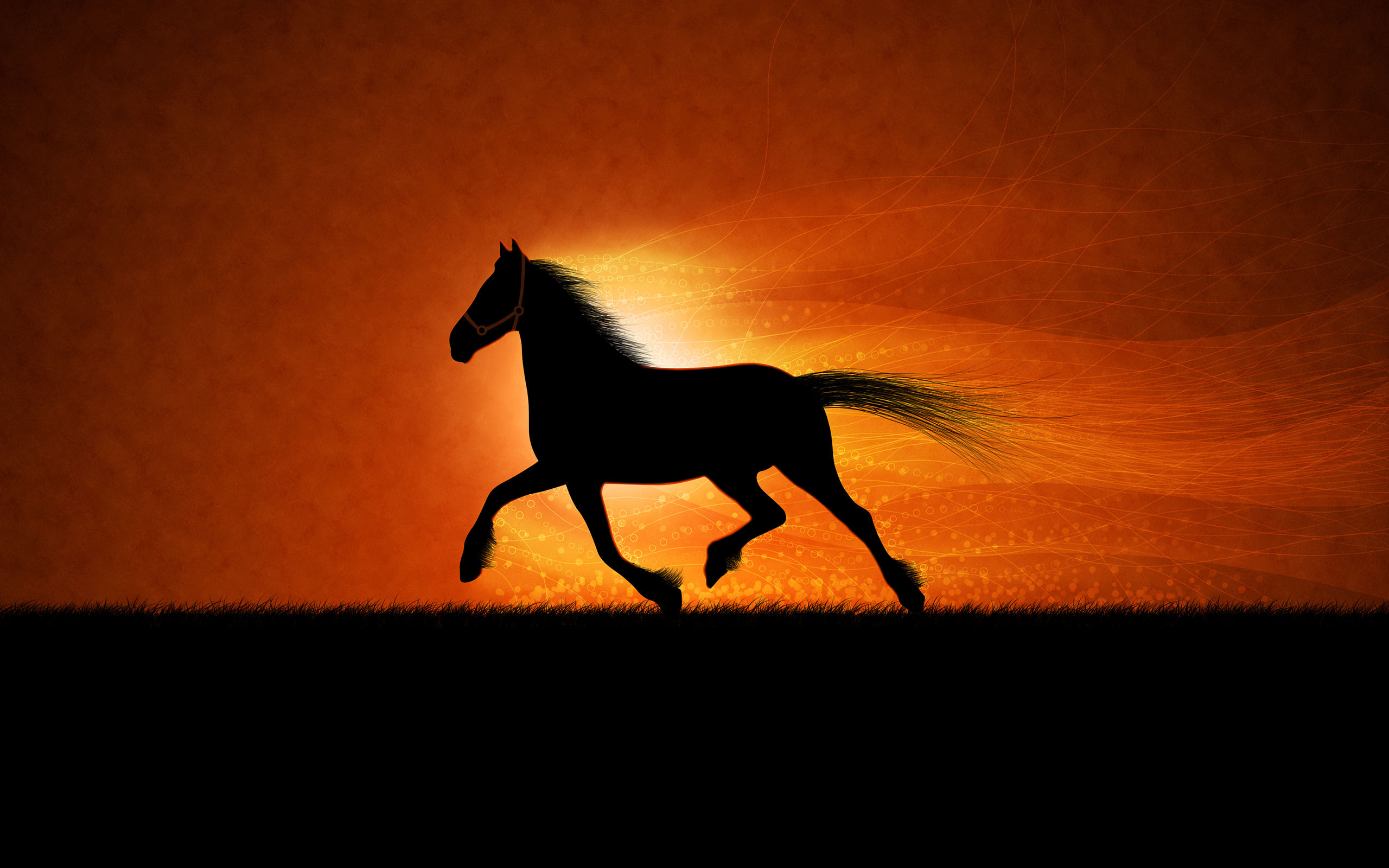 Wallpaper #9h2ULJMBlOZrFDOkbsoH115 46 HD Horse Wallpapers Wallpapersafari