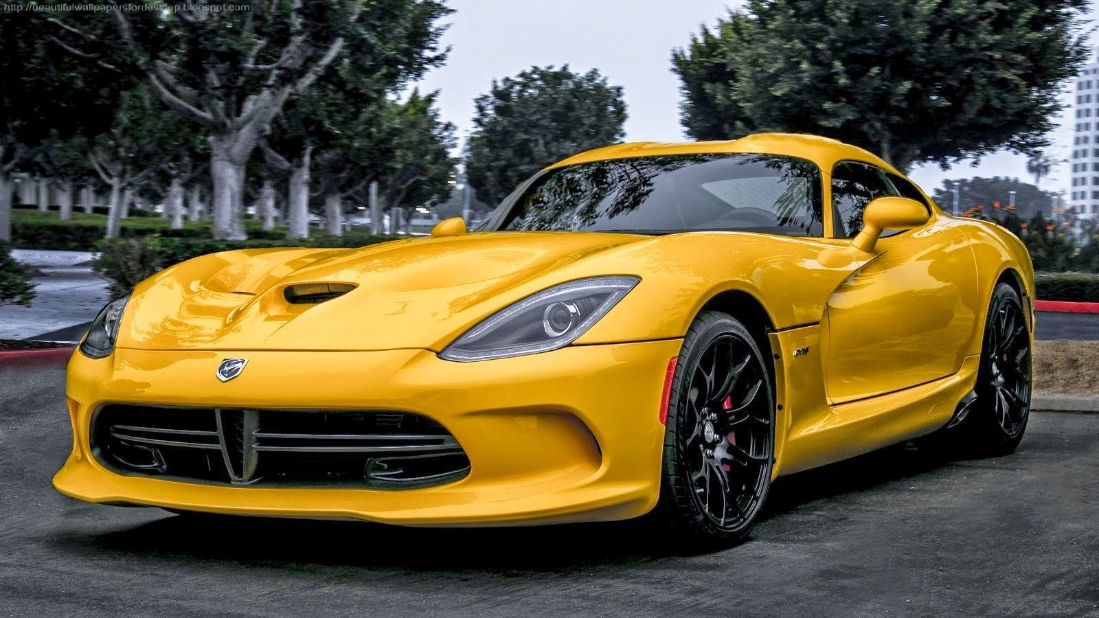 Wallpaper #vQDR644BSdW8dNou9hKx34 Sports Car Wallpaper Yellow Wallgear