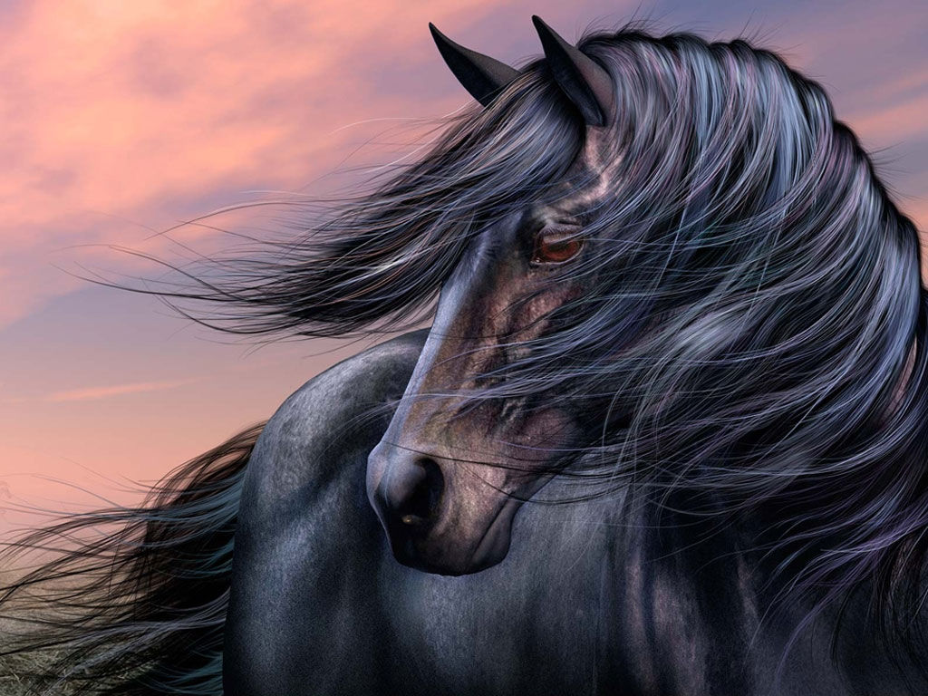 Wallpaper #LH1h8I4Bnwiau_P6ewav59 67 Dark Horse Wallpaper Wallpapersafari